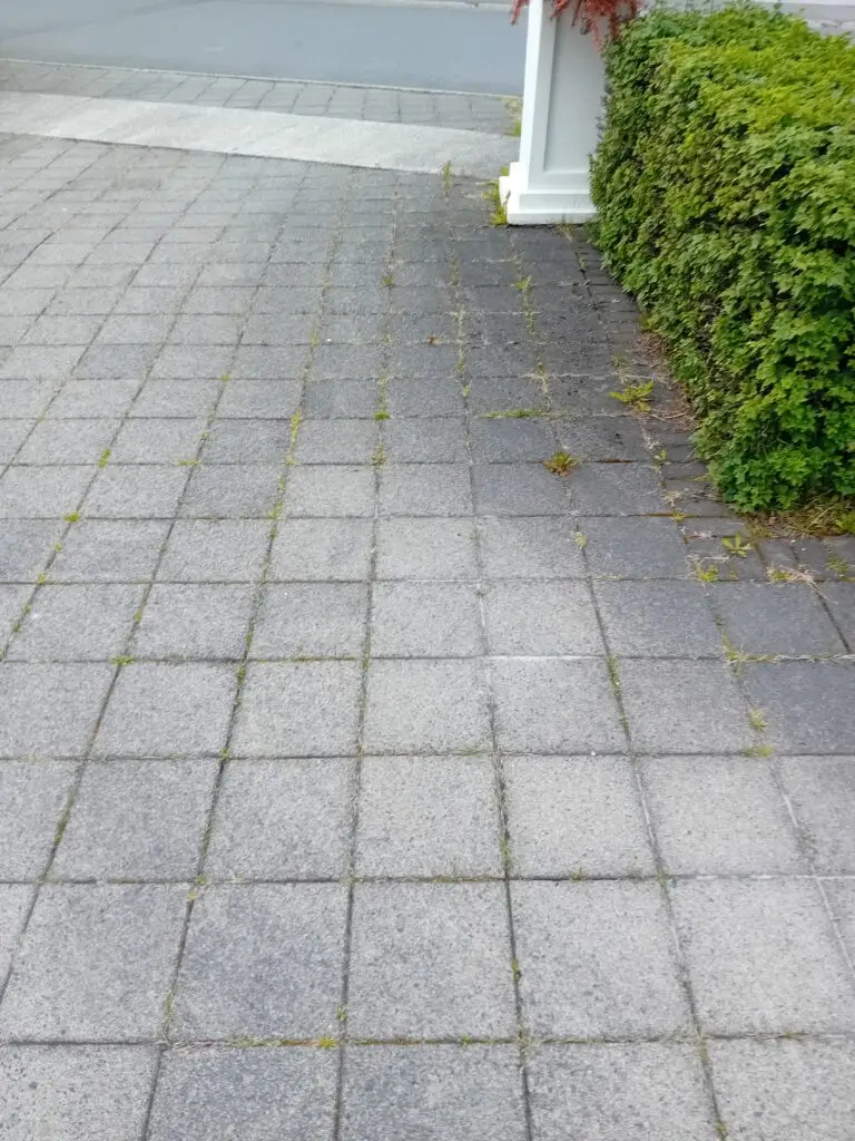 Heimasíða 18 Fyrir og eftir mynd
