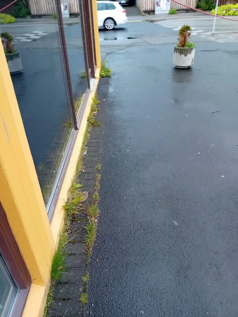 Heimasíða 12 Fyrir og eftir mynd