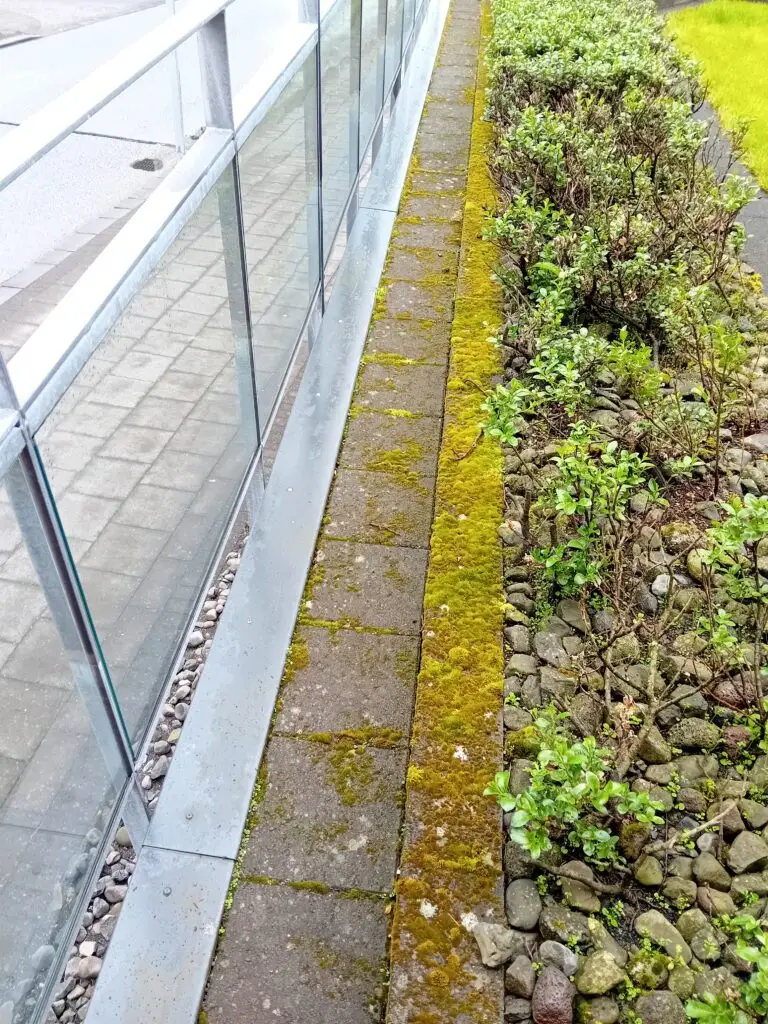 Heimasíða 10 Fyrir og eftir mynd